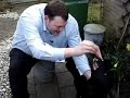 kingjaap.nl - jaap en zijn hond twinsen