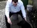 kingjaap.nl - jaap en zijn hond twinsen