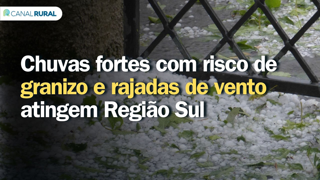 Chuvas fortes com risco de granizo e rajadas de vento atingem Região Sul | Previsão do tempo | Sul