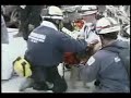 Riley the real 9/11 k-9 hero