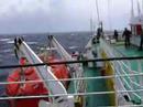 Patagonien 08
