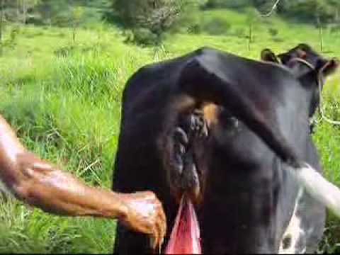 velhas gostosas chat pt com velhas gostosas chat pt com