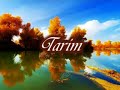 Tarim (Dilber Yunus)