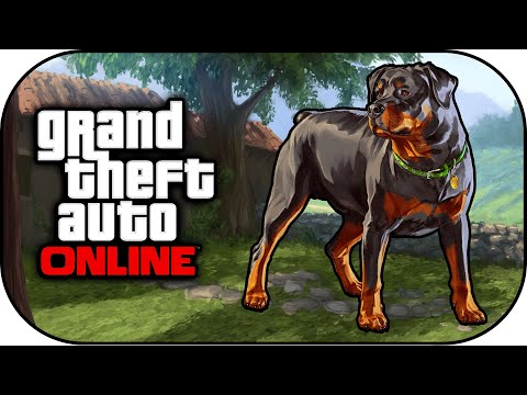 video-linktoworks-GTA 5 How To Play as Chop & 700