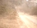 tiger-sighting-at-ranthambore-21s-gods-of-iima-visit.html