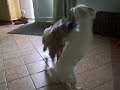 doko et couac doko et couac