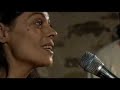 Mariposa de Noviembre - Luis Pastor