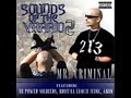 Mr. Criminal- Varrio Stories \"Instrumental\" Mr. Criminal- Varrio Stories \"Instrumental\"