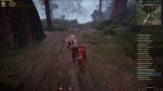 Black Desert след неугомонной птицы Black Desert след неугомонной птицы