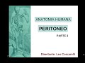 PERITONEO 2