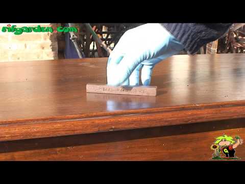woodworm -