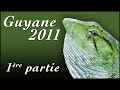 GUYANE 2011 - 1.mov