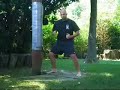 TAI CHI STRIKING POLE FUNDAMENTALS TAI CHI STRIKING POLE FUNDAMENTALS