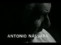 "Periquitinho verde", por Antônio Nássara