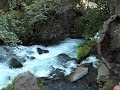 Banias