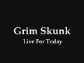 one of the best grim skunk's song, however it's underrated. this one goes out to the real grim skunk fans.