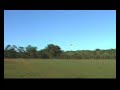 RC Mazda Zlin Z50, Wankel 49pi Rotary Crash RC Mazda Zlin Z50, Wankel 49pi Rotary Crash