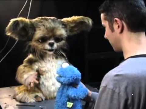 Leonardo: The most expressive robot in the world today!