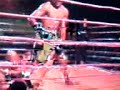 wanderlei Silva (caxixi silva x saburgi)