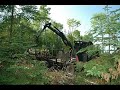La deforestation