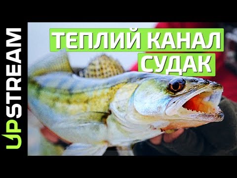шесть рыбаков съели 6 судаков шесть рыбаков съели 6 судаков