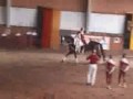 Pflicht 1. Block Pflicht 1. Block