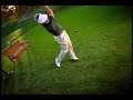 Callaway Golf Commercial