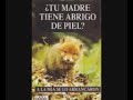 maltrato animal