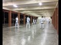 KEMTA-TRG: Night Training - EuiAm Tul (2)