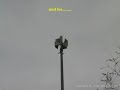Sirenentest HLS273, test pneumatic siren HLS273