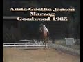 dressage - marzog