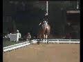 Anne-Grethe Jensen - Marzog - Goodwood 1985