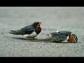 bug�n senin do�um g�n�n  aytekin zeytinburnu