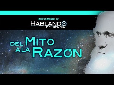 Imagen de previsualización de YouTube