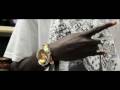 ACE HOOD FEAT. PLIES - STRESSIN' (***NEW***HIGH QUALITY NOT WSHH)