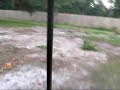 Me Driving My Golf Cart in My Back Yard 1 Week After Hurricane/Tropical Storm Fay