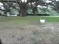 Me Driving My Golf Cart in My Back Yard 1 Week After Hurricane/Tropical Storm Fay