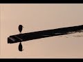 Chan_Kamath_Wildlife_Photography.wmv Chan_Kamath_Wildlife_Photography.wmv