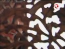 Swingers: la fantas�a sexual explorada