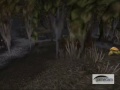 Lengend of the woolie swamp (wow style)