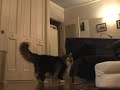 ??????????????? I can jump!