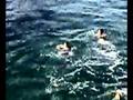 videos de tuffi dal pontile di vado ligure