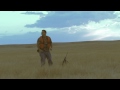 WeBeOutdoors Jeremy's Antelope