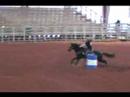 Coontail - Mindi Lee run Coontail - Mindi Lee run