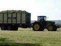 Silage Ernte 2008