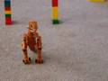 Trex Suicide 2