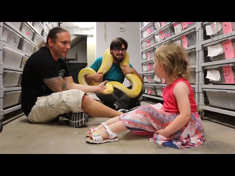 YouTube reptile video