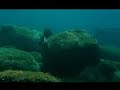 Emozioni di Pesca in Apnea - Tecniche complementari Emozioni di Pesca in Apnea - Tecniche complementari
