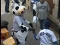 videos de Cubs Tallyho Parade