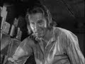 adapted from the novel by rafael sabatini, this swashbuckling classic chronicles the adventures of peter blood (errol flynn), 17th century physician turned pirate. sold into slavery in jamaica he makes an enemy of the brutal colonel bishop (lionel atwill) and then falls in love with with the colonel's niece, arabella bishop (olivia de havilland), before he masterminds a daring escape with his fellow prisoners and becomes a gentleman/rogue pirate of the caribbean with the sinister help of ...